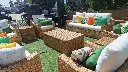 shared image (13).webp