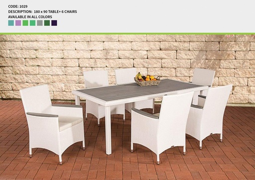 Code 1029 (TABLE, RATTAN 001)
