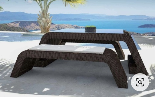 Code 1091 (2 SEATER, RATTAN 001)